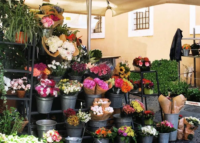 Mario De' Fiori 37
